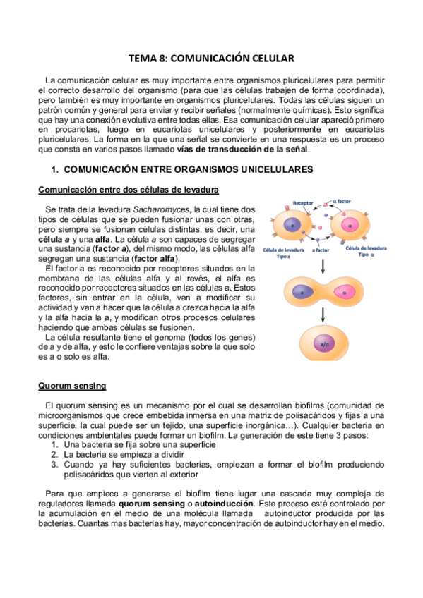 Miniatura del documento TEMA-8.pdf