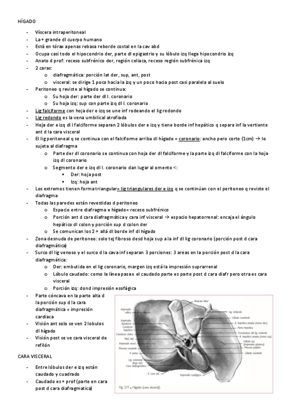 Miniatura del documento HIGADO.pdf