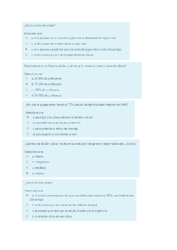 Miniatura del documento Examen-de-practicas.pdf