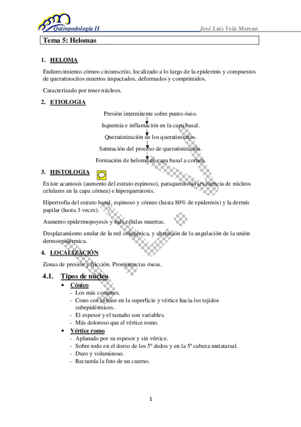 Miniatura del documento Tema-5-Helomas-bien-VER-LAS-PREGUNTA-DE-EXAMEN-copia.pdf