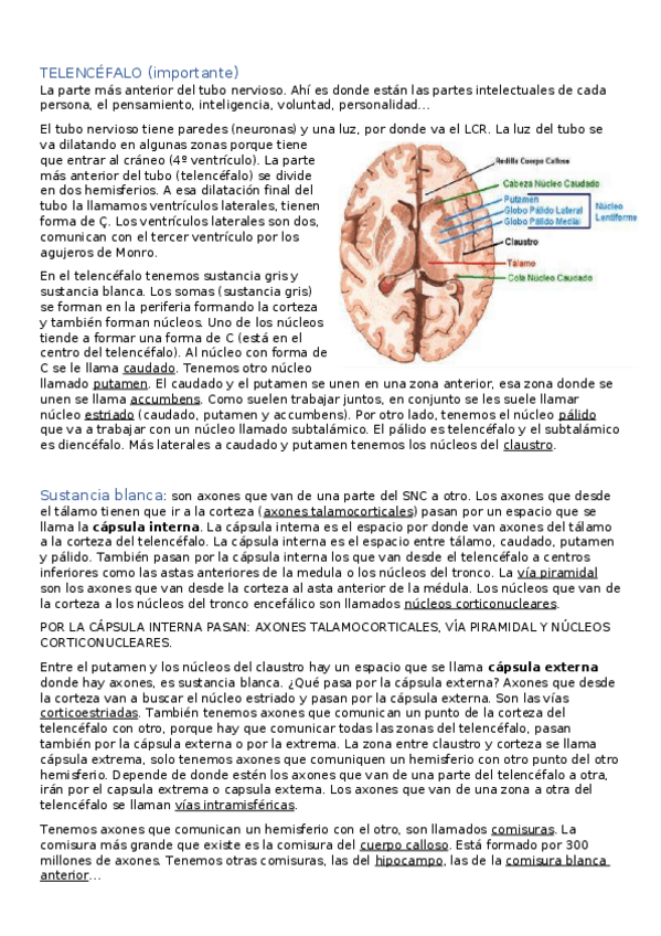Miniatura del documento tema-7-parte-2.docx