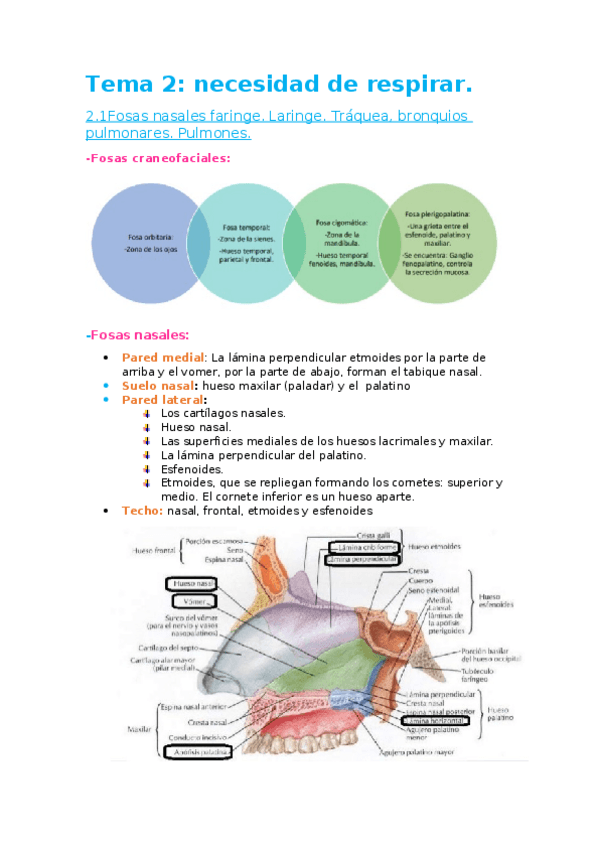 Miniatura del documento Tema-2.docx
