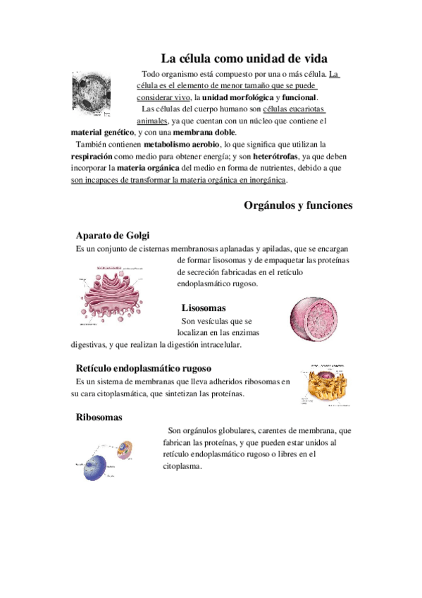 Miniatura del documento La-celula-como-unidad-de-vida.docx
