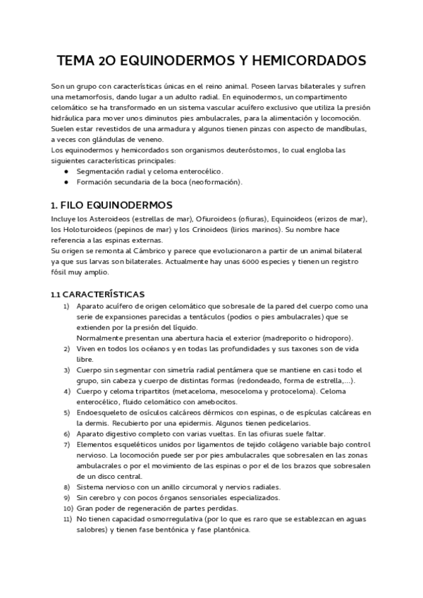 Miniatura del documento tema-20-equinodermos-y-hemicordados.pdf