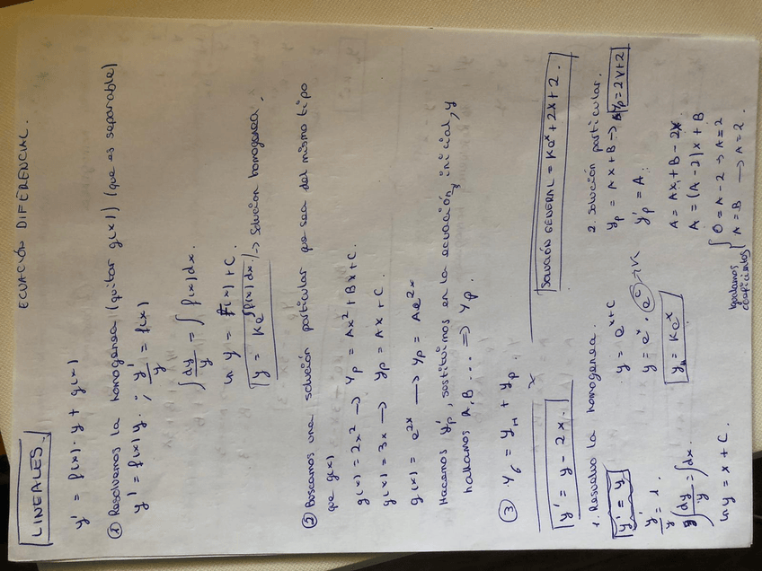 Miniatura del documento IMG-20200316-WA0056.jpg