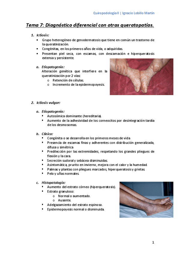 Miniatura del documento Tema-7.pdf