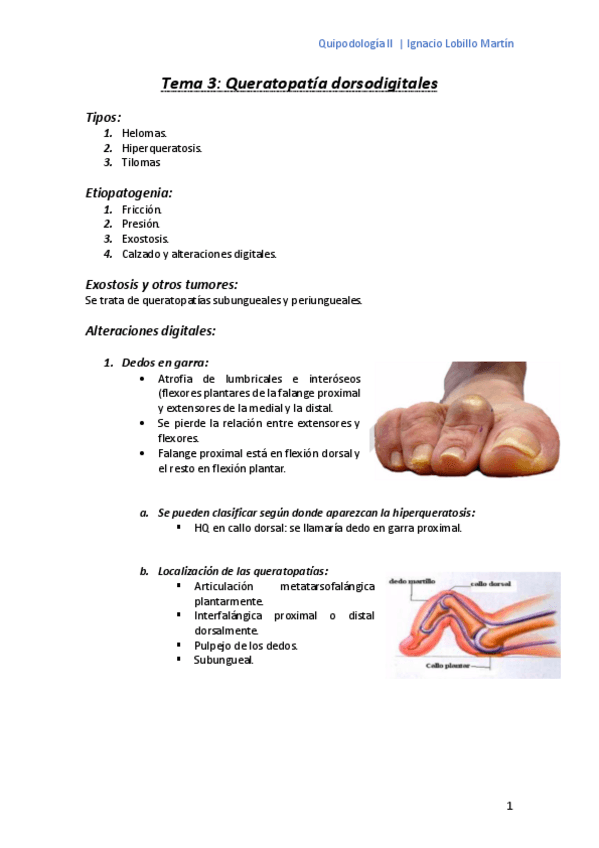 Miniatura del documento Tema-3.pdf