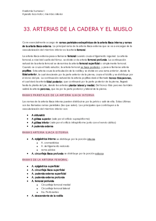 Miniatura del documento 33-arterias.pdf