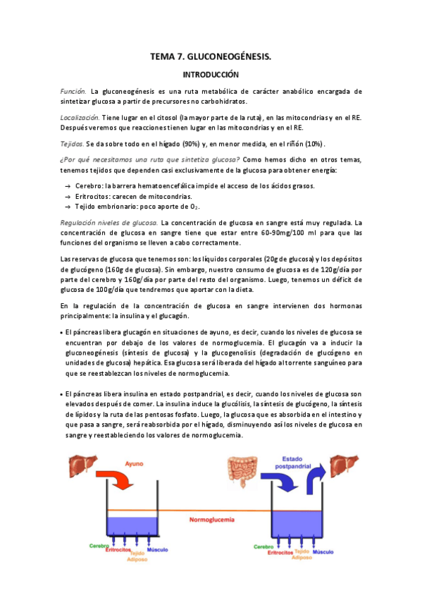 Miniatura del documento TEMA-7.pdf