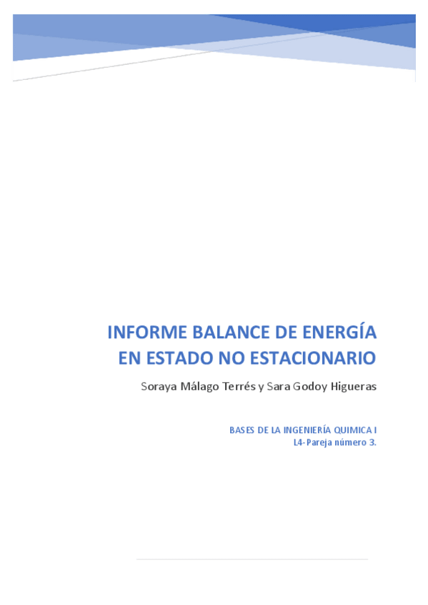 Miniatura del documento INFORMEBEBIQ1.pdf