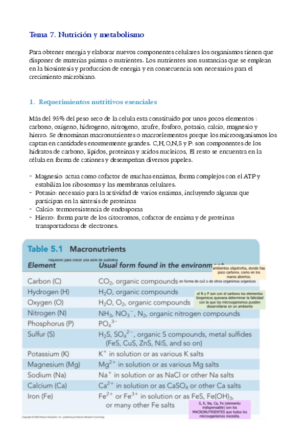Miniatura del documento tema-7.pdf