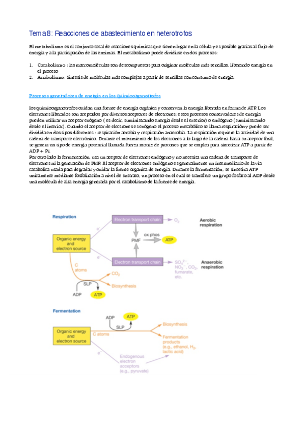Miniatura del documento tema-8.pdf