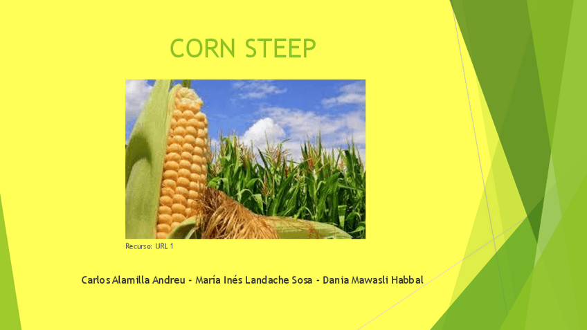 Miniatura del documento S11-Presentacion.pdf