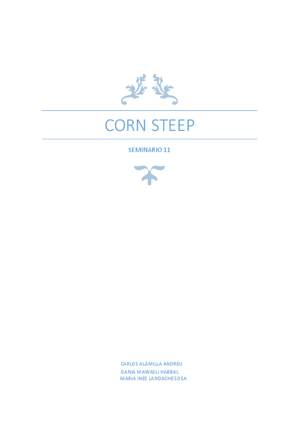 Miniatura del documento S11-Resumen.pdf