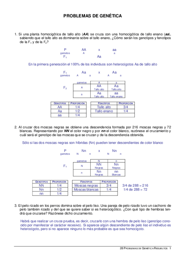 Miniatura del documento 28problemasresueltos.pdf