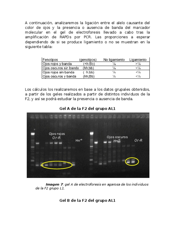 Miniatura del documento ligamiento.docx