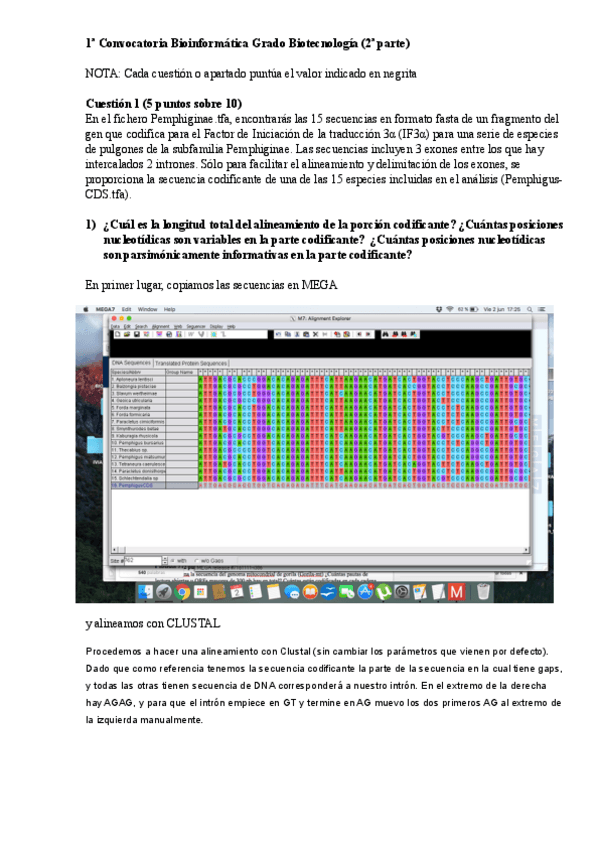 Miniatura del documento examen-david.pdf