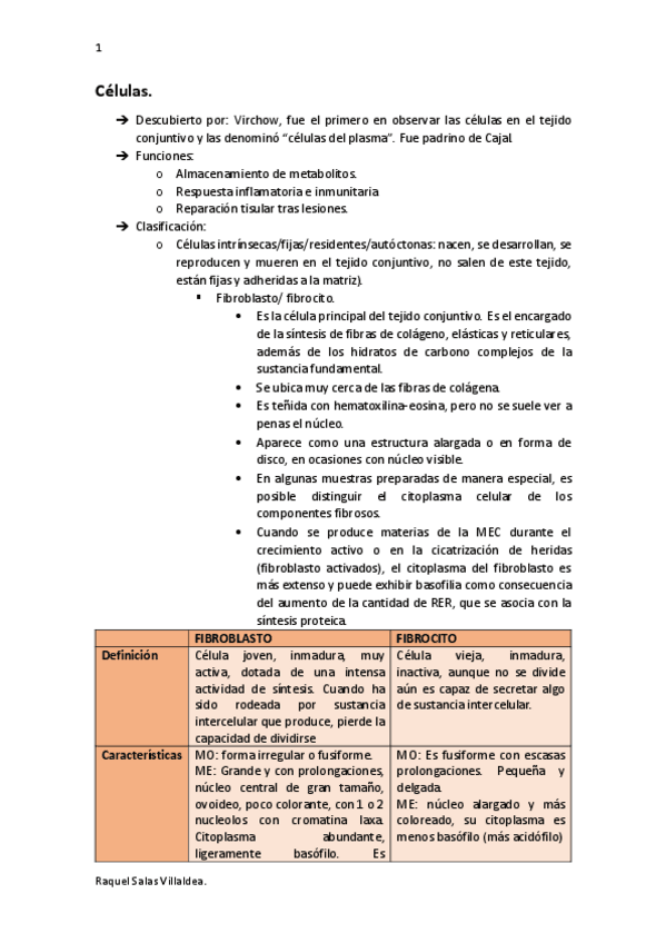 Miniatura del documento celulas-tejido-conjuntivo.pdf