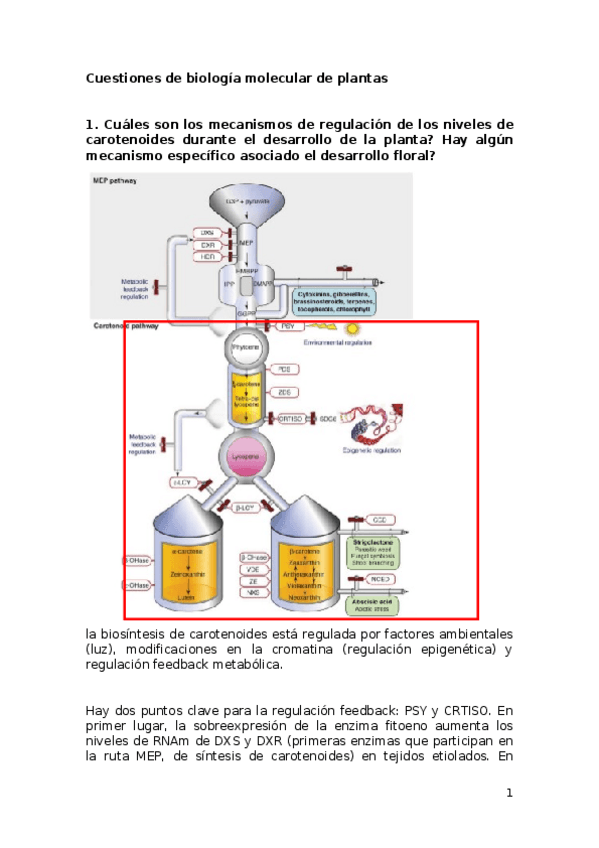 Miniatura del documento Cuestiones-del-examen-todas.docx