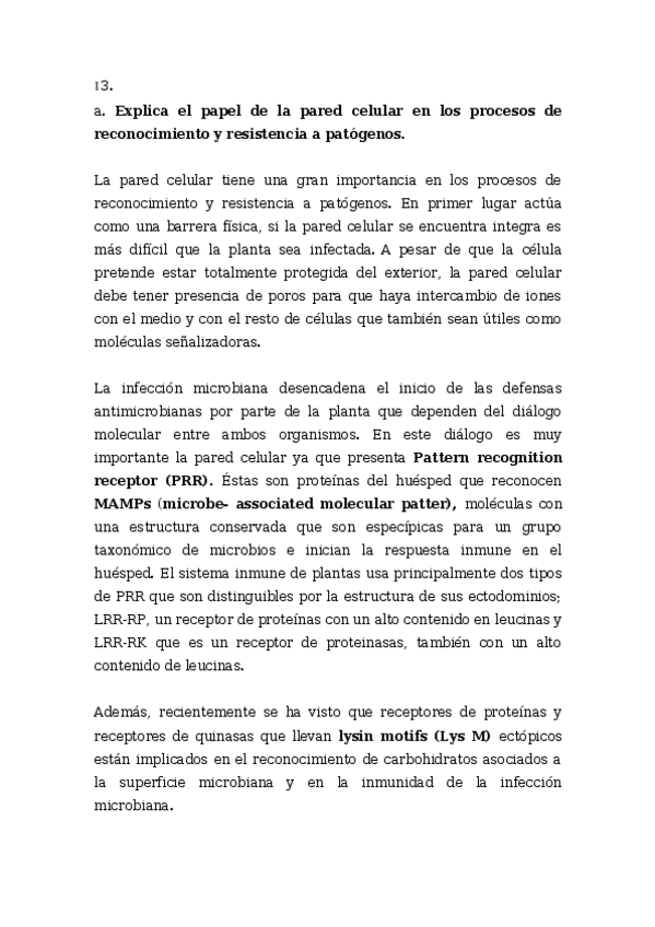 Miniatura del documento preguntas-plantas-Angeles-13-y-11.docx