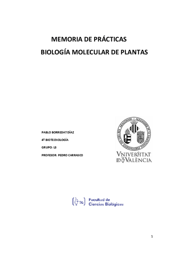 Miniatura del documento MEMORIA-DE-PRACTICAS.pdf