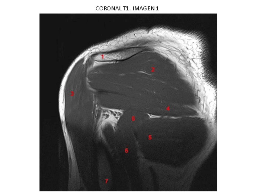 Miniatura del documento 7.pdf