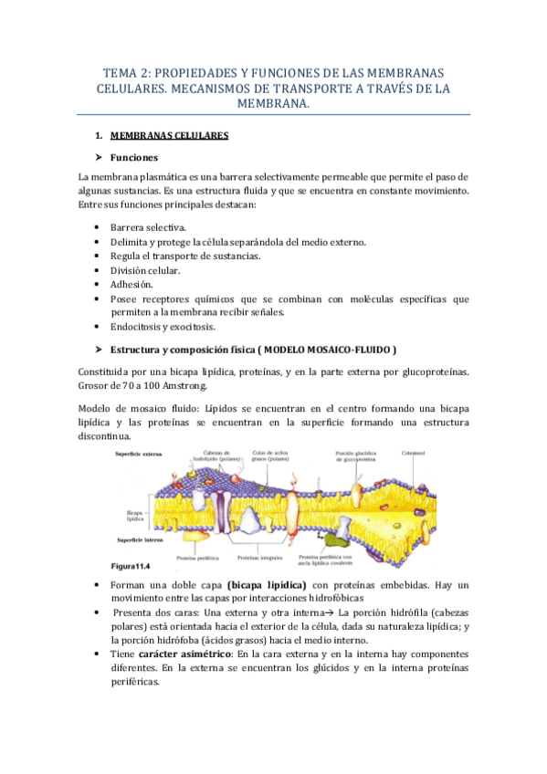 Miniatura del documento TEMA-2.pdf