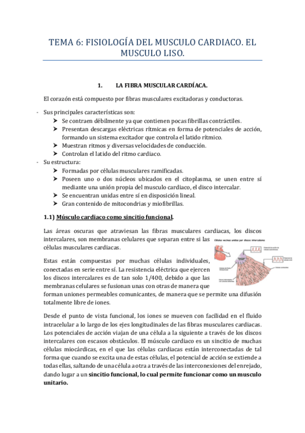 Miniatura del documento TEMA-6.pdf