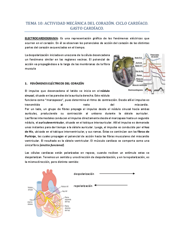 Miniatura del documento TEMA-10.pdf