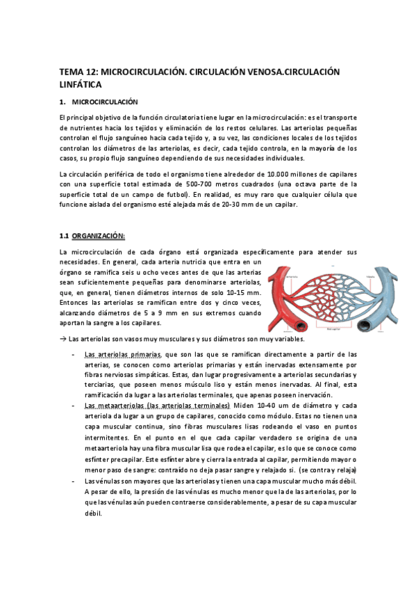 Miniatura del documento TEMA-12.pdf