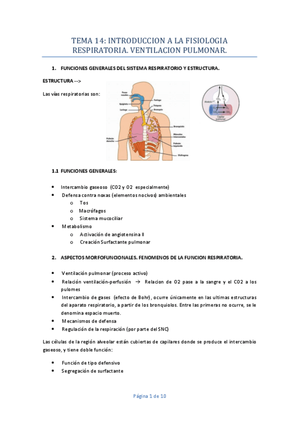 Miniatura del documento TEMA-14.pdf