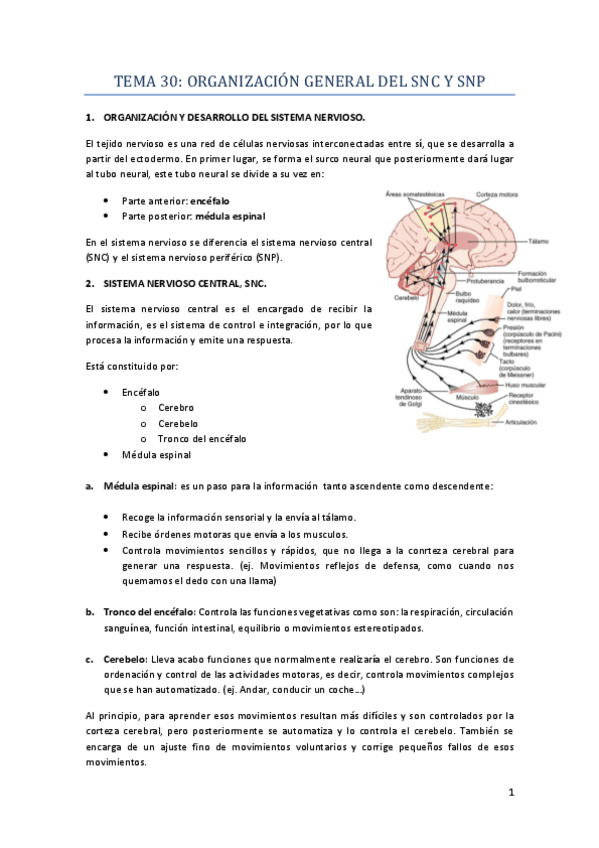 Miniatura del documento TEMA-30.pdf