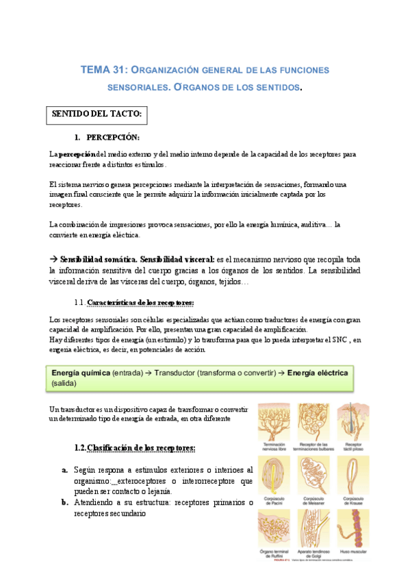 Miniatura del documento TEMA-31.pdf