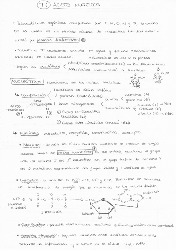 Miniatura del documento 7.pdf