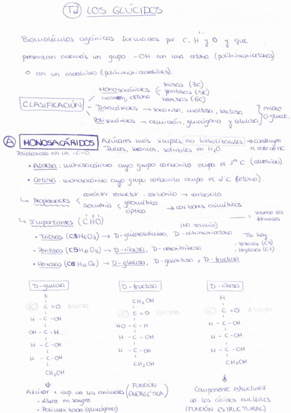 Miniatura del documento 2.pdf