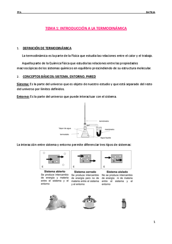 Miniatura del documento TEMA 1.pdf