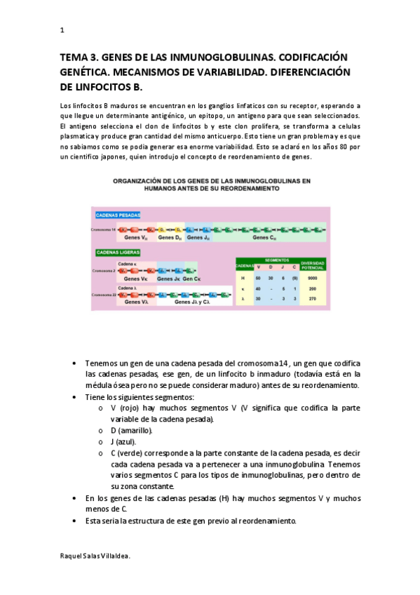 Miniatura del documento tema-3.pdf