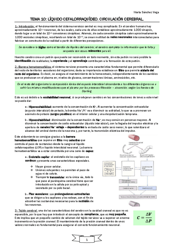 Miniatura del documento TEMA-10.pdf