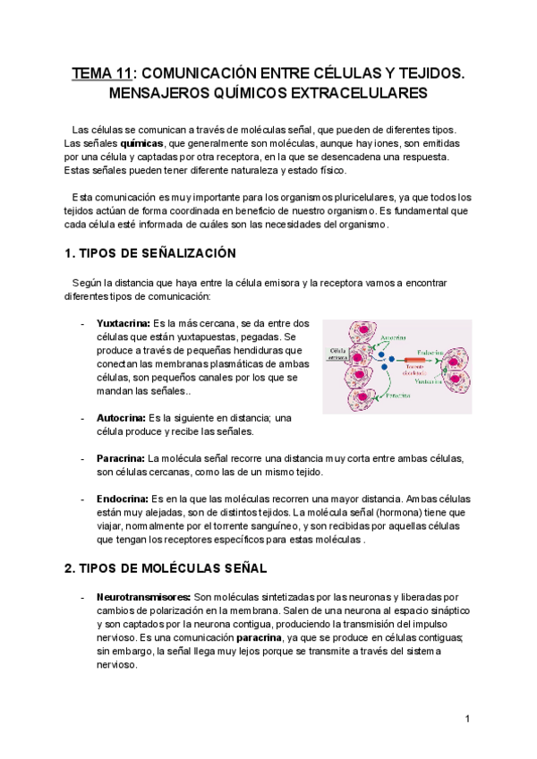 Miniatura del documento Tema-11-BQE.pdf