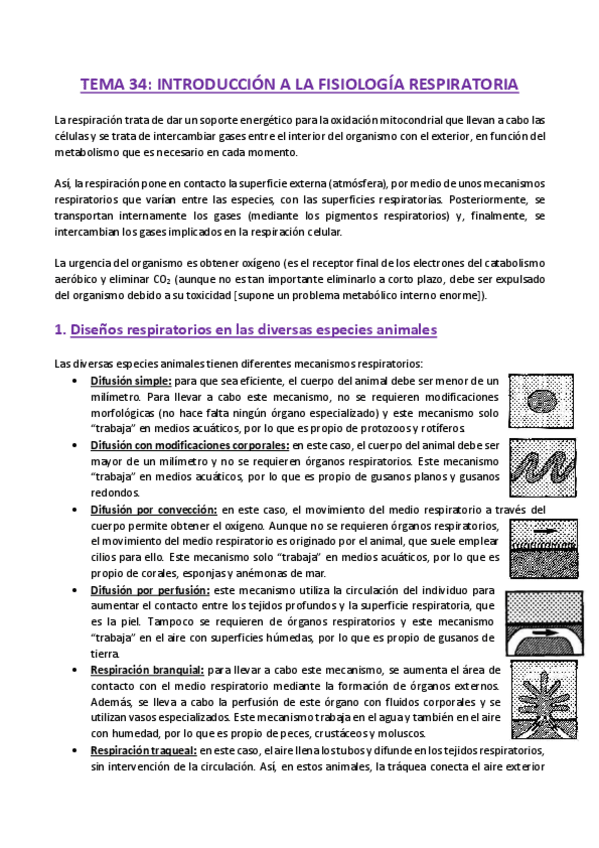 Miniatura del documento TEMA-34-Fisiologia.pdf