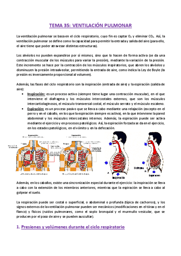 Miniatura del documento TEMA-35-Fisiologia.pdf