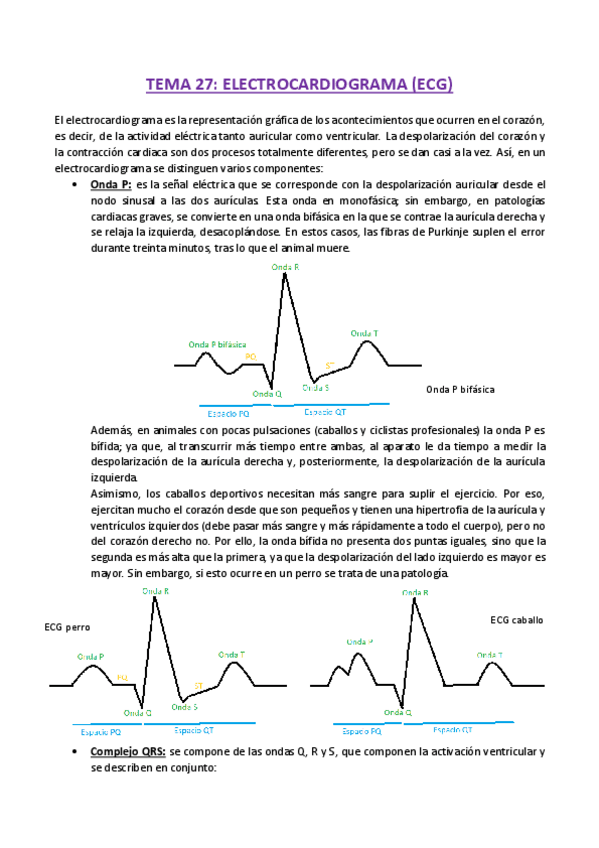 Miniatura del documento TEMA-27-Fisiologia.pdf