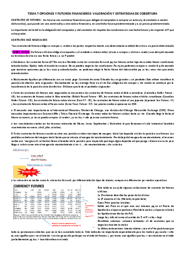 Miniatura del documento TEMA-7-OPCIONES-Y-FUTUROS-FINANCIEROS.pdf