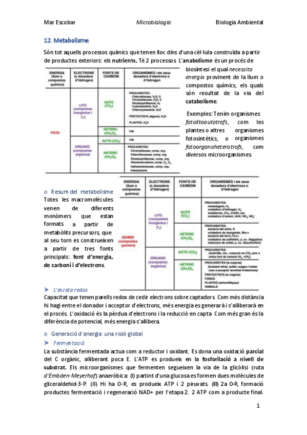 Miniatura del documento 12.pdf