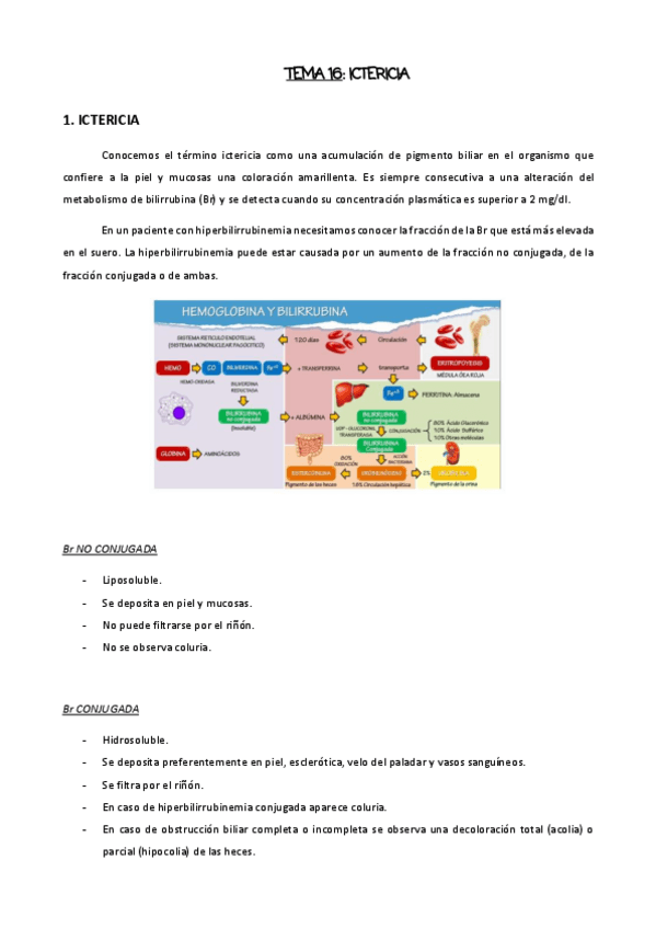 Miniatura del documento TEMA-16.pdf