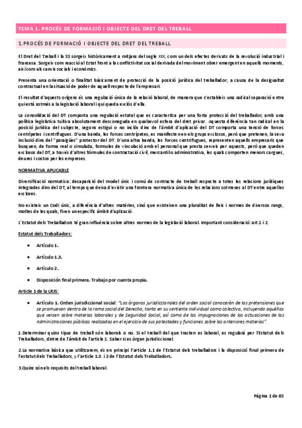 Miniatura del documento Apuntes-clase-laboral-ESTOS.pdf