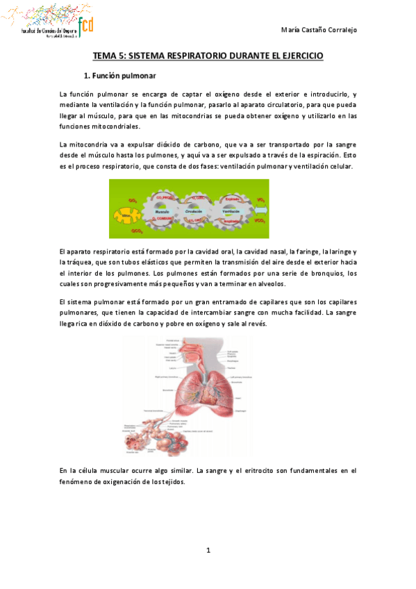 Miniatura del documento TEMA-5-FISIOLOGIA-DEL-EJERCICIO.pdf
