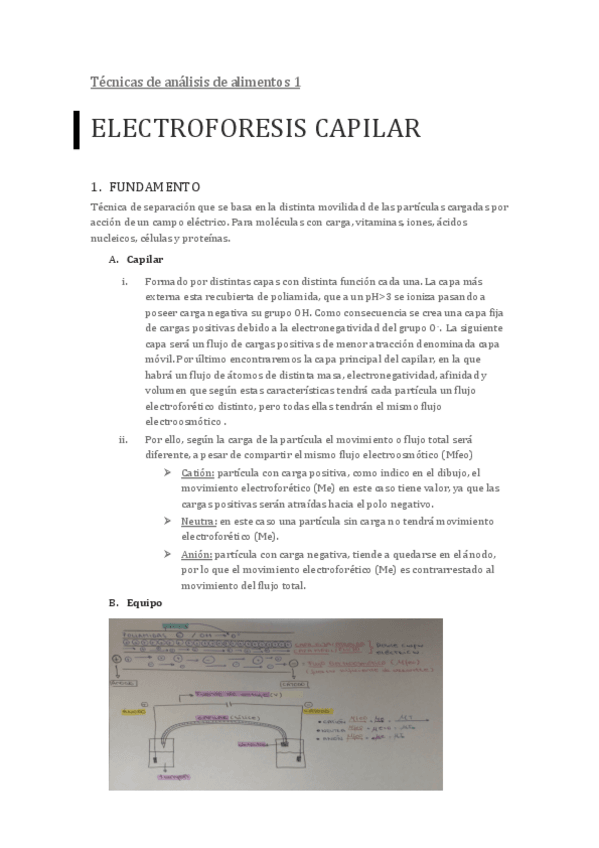 Miniatura del documento ELECTROFORESIS-CAPILAR.pdf