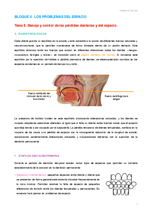 Miniatura del documento Tema-8.pdf