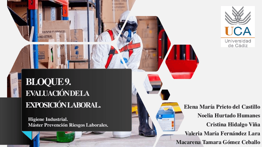 Miniatura del documento PWT-HIGIENE-INDUSTRIAL.pdf